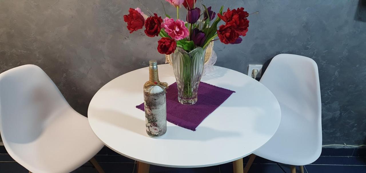Cozzy Apartment Near The Aiport Podgorica Mitrovici  Εξωτερικό φωτογραφία